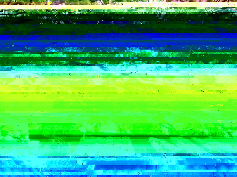 oldtreehouse1.jpg