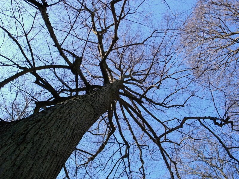 Hagaparken 080420 - 005.jpg
