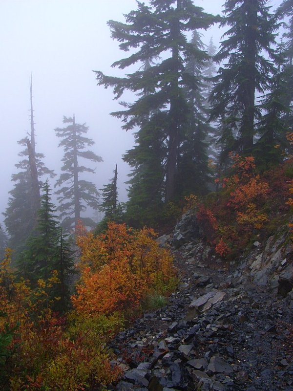 damp_descent.jpg