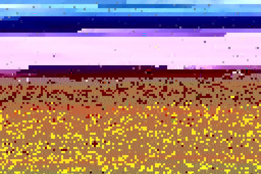 yellowrain.webp