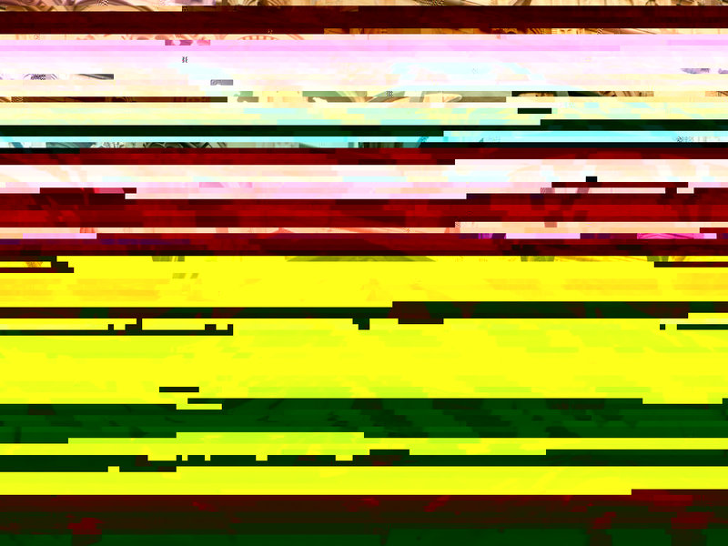 RIMG0010r.jpg