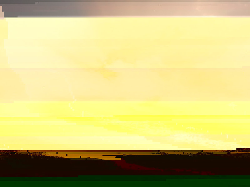RIMG1059r.jpg