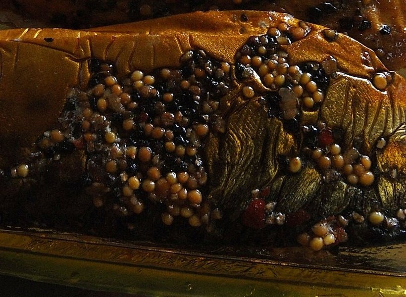 toscane juillet 2009 068.jpg