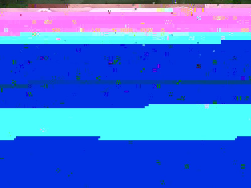 RIMG1298.jpg