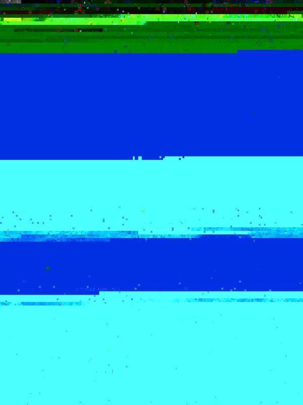 RIMG0061 (1368 x 1824).jpg