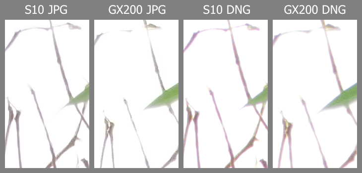 50mm_cra.png