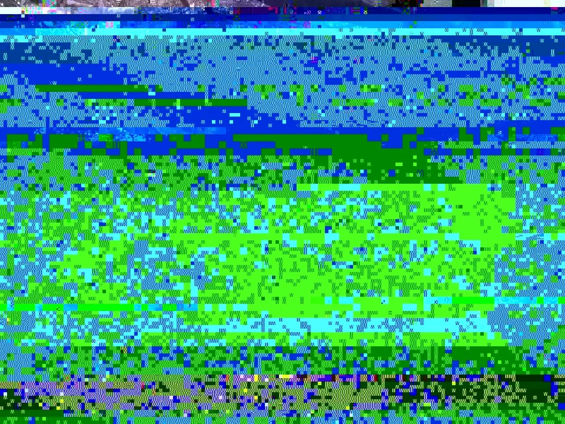 IMG_1358.webp