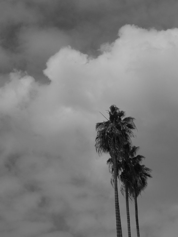 R1069944_sm.jpg