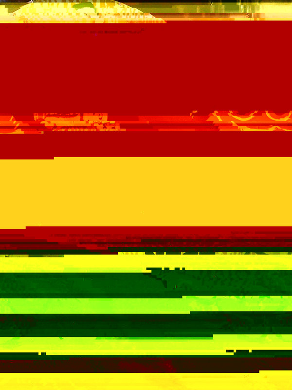 P1010542_DMC-GH1_ISO-1600_DxO Optics Pro 6.12_100% Crop_XnView 1.974.jpg