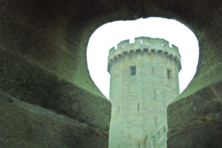 R0010743 (Large).JPG