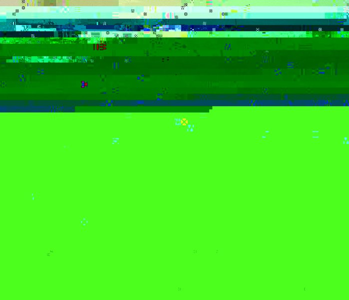 Charmouth 2010 (84).JPG