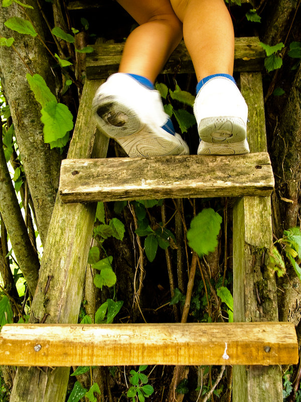 hazelnut tree house.jpg