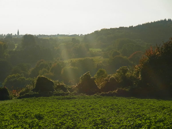 R0020978a_sm.jpg