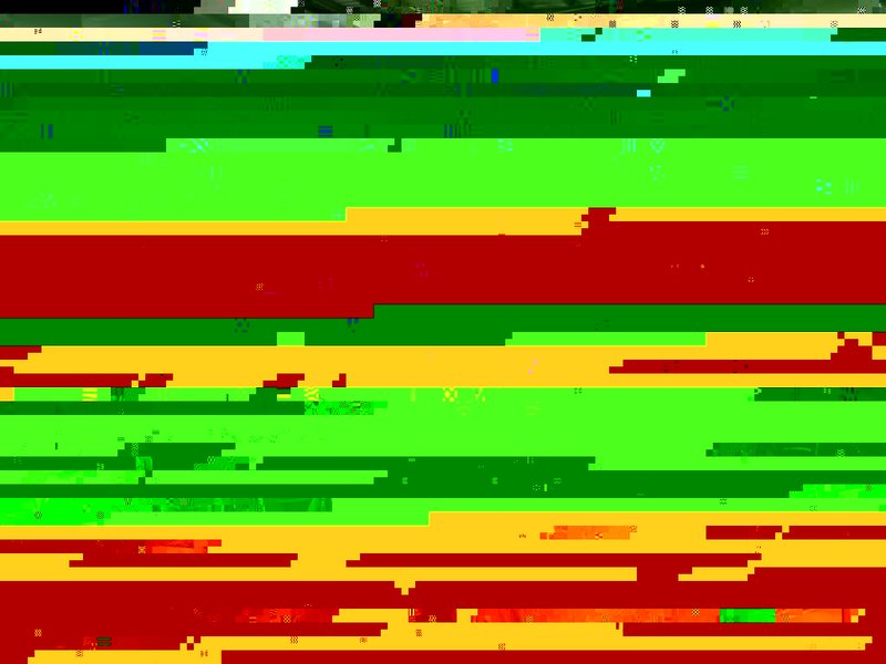 RIMG13904.JPG