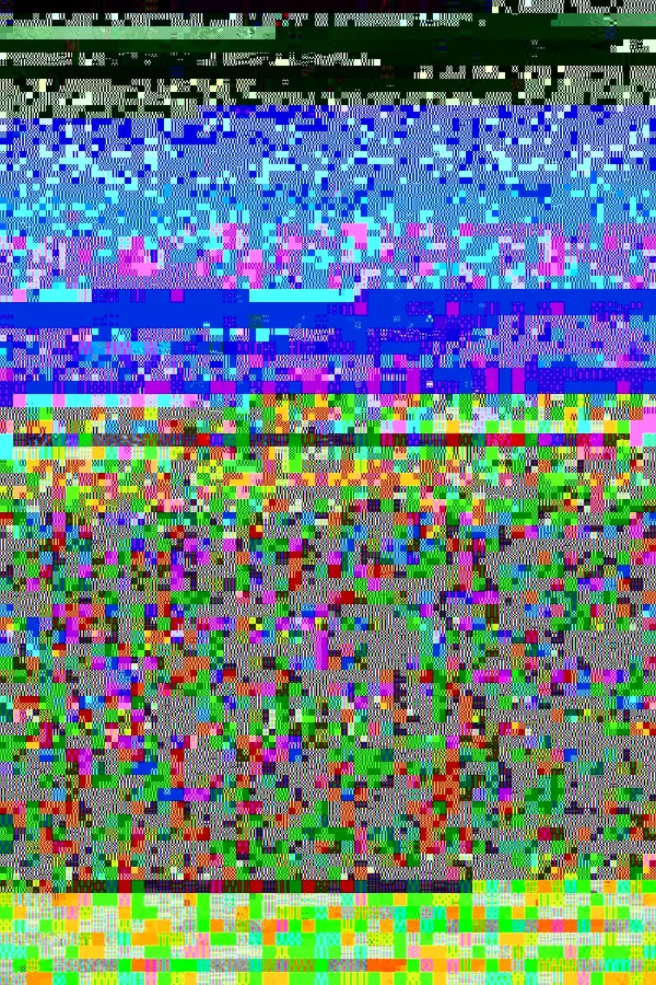 RIMG14069.webp
