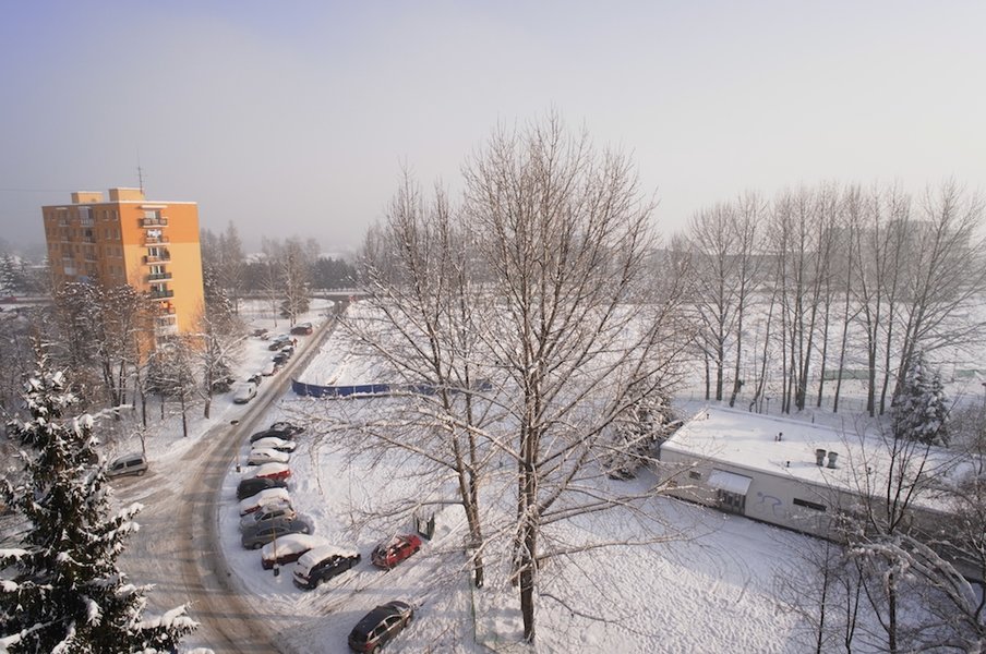 A1228_21mm_sm.jpg