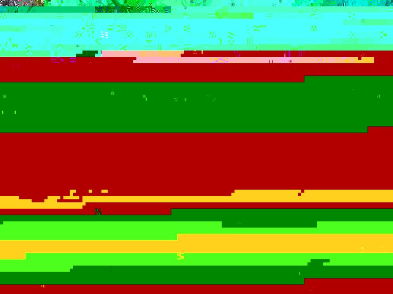 R0010988.JPG