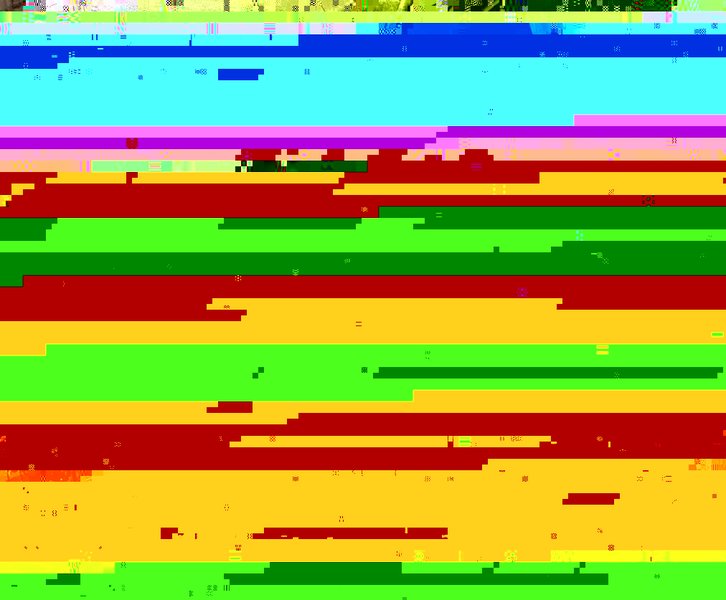 Copy of R0011115.JPG