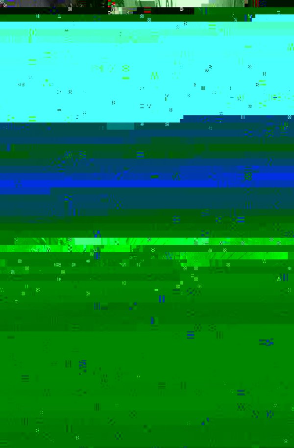 R0010353.JPG