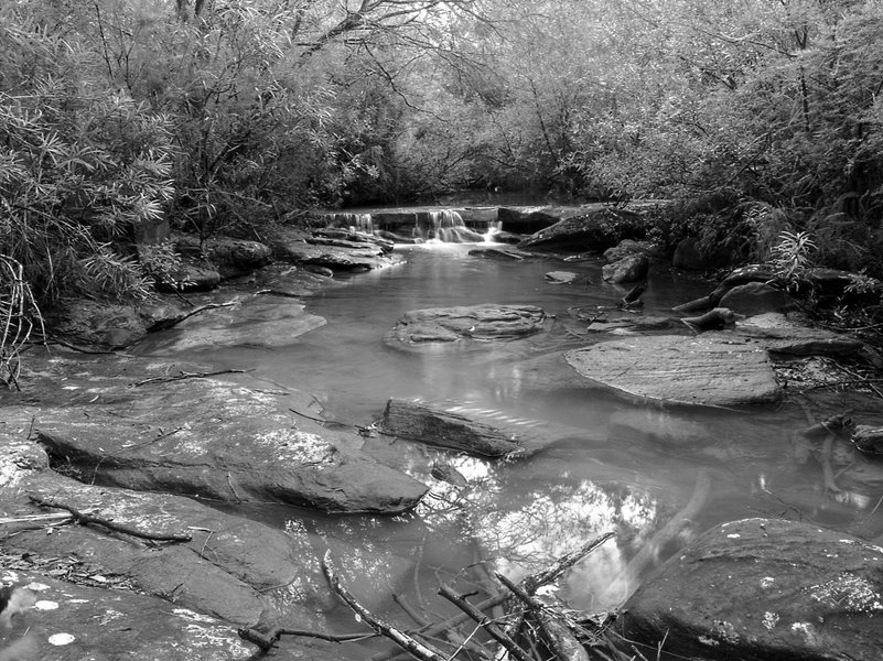 R0013806.JPG