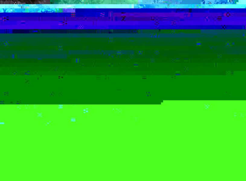 Copy of PICT0030.JPG