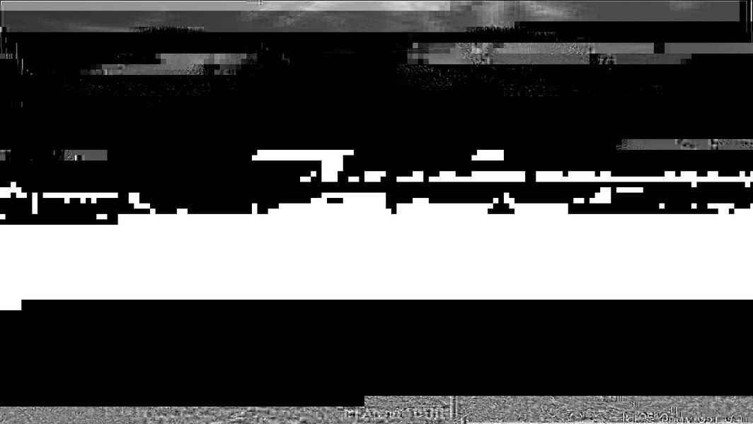 Donana B&W1.jpg