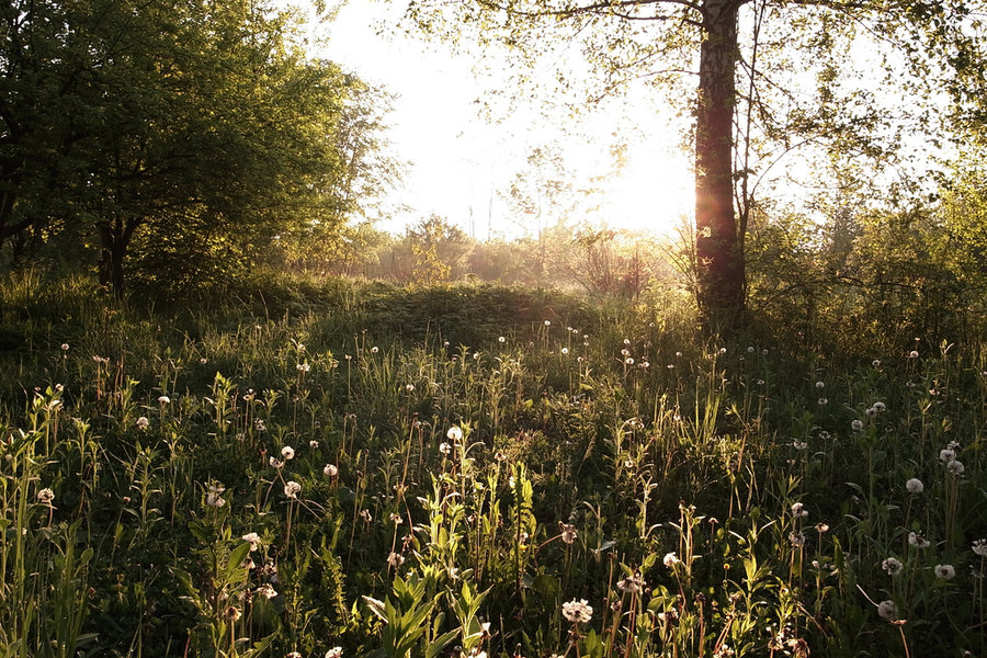 _1092701_sm.jpg