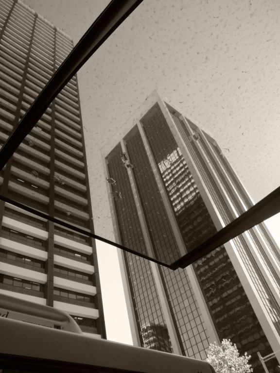 R0010644.JPG