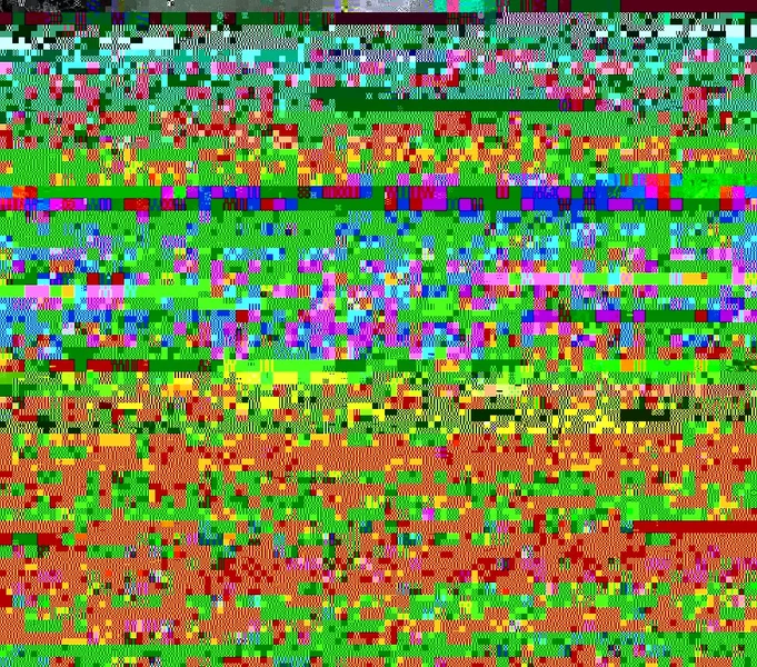 R0010566.webp