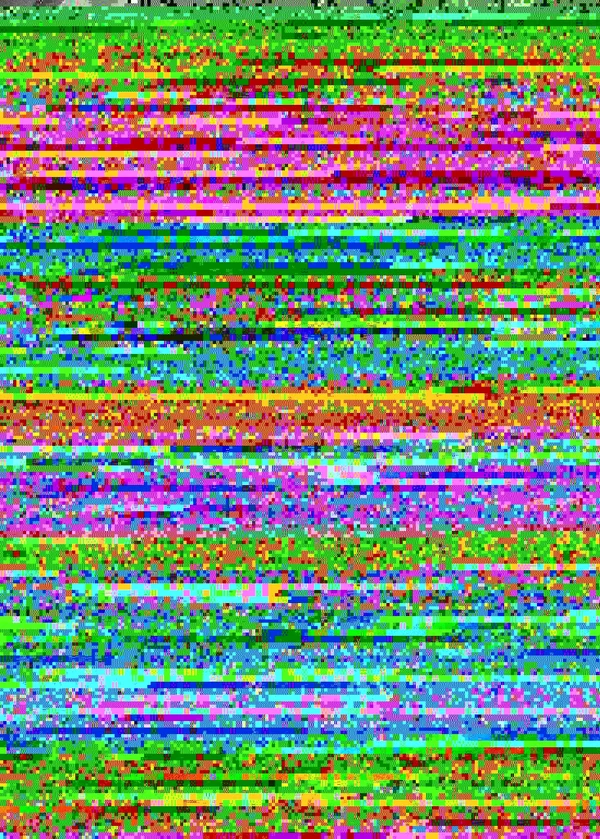 RIMG2262.webp