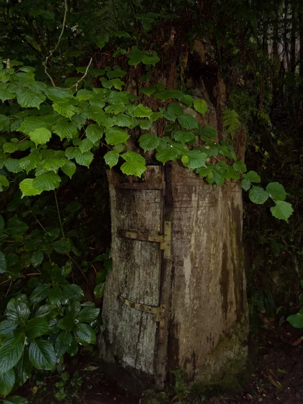 R0013881-2.webp