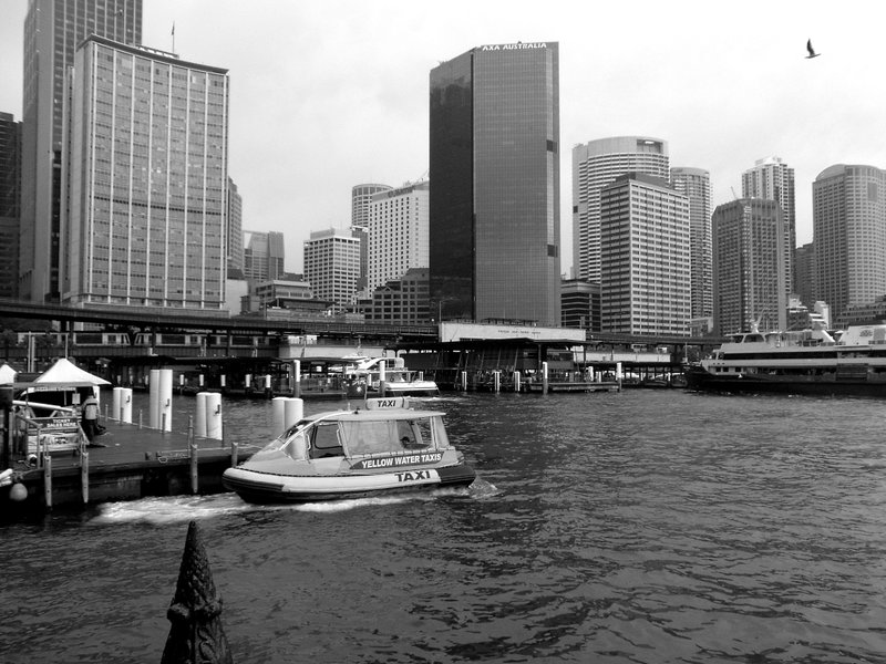 R0012316.JPG