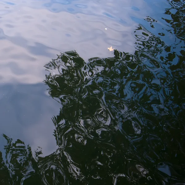 R0011074.webp