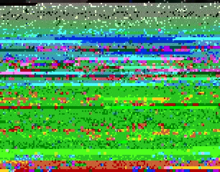 RIMG3762.webp