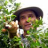 KiwiGrower
