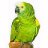 RobertE